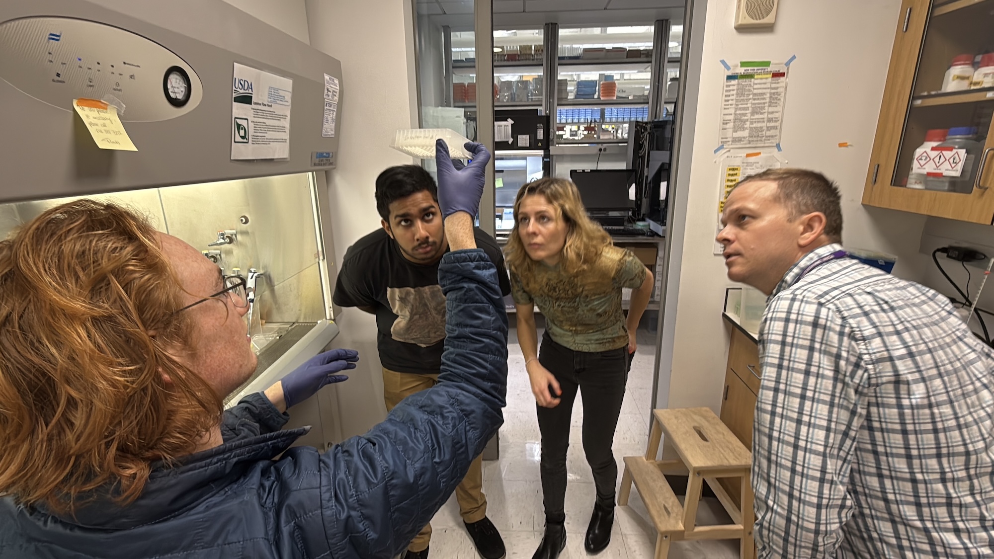Lab Examination