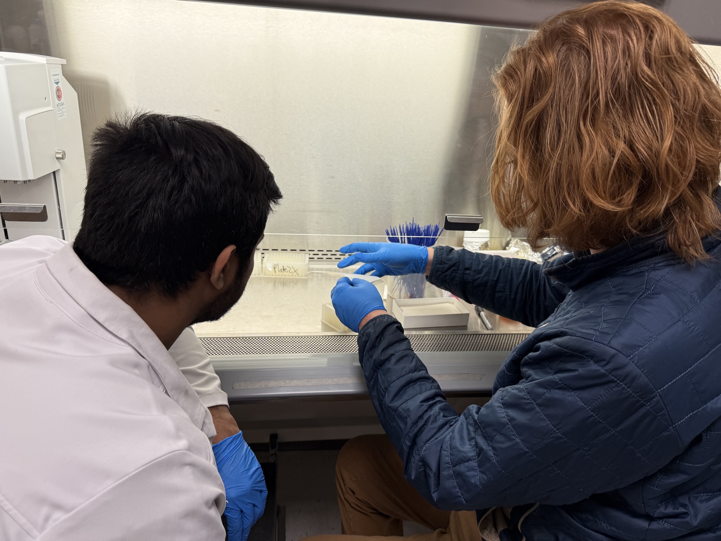 Second Lab Examination